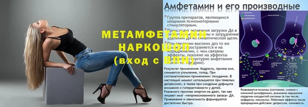 стаф Верея