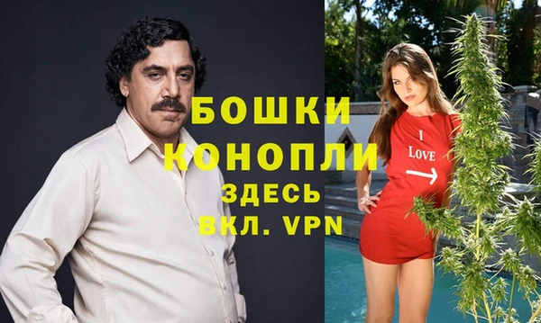 стаф Верея