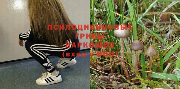 mdpv Верхний Тагил