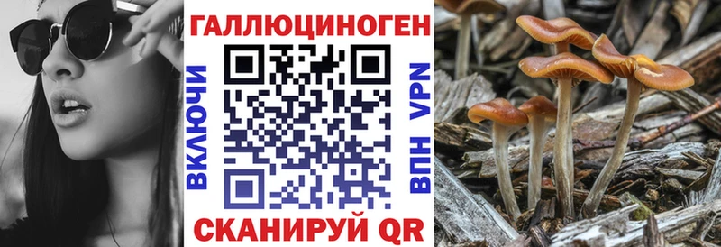 Галлюциногенные грибы MAGIC MUSHROOMS  дарк нет состав  Козловка 